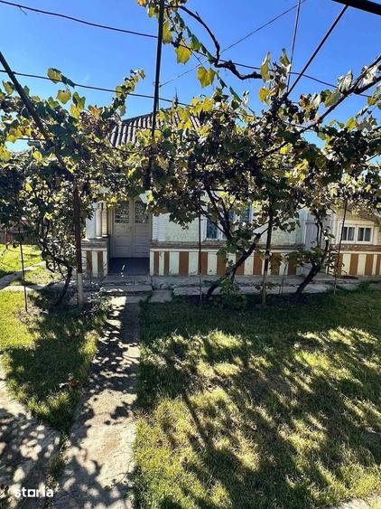 De vanzare casa noua din caramida, P+M,teren de 3000 mp,8 min de Roman - 1