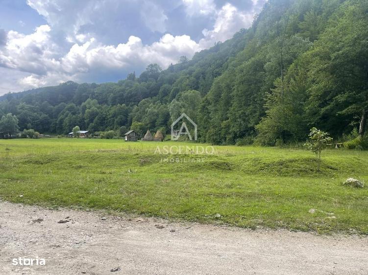 Teren Investitie Turistica Dambovicioara Baranga | 4.500 mp - 19