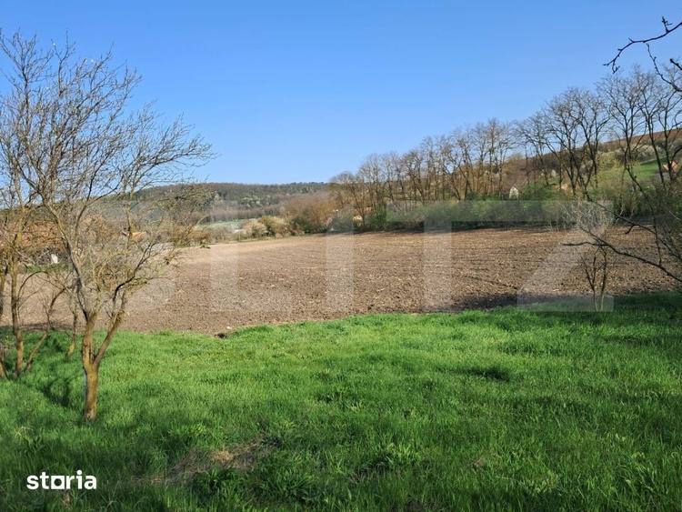 Casă cu 4 camere cu Teren 15000 Mp în Bichiș
