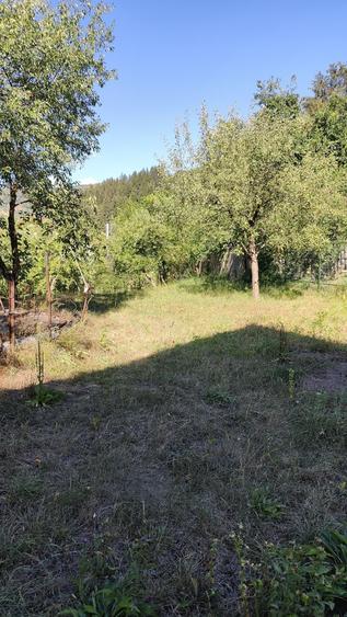 Vand casa+spatiu comercial - 10