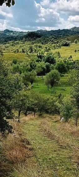 Teren de 12000 mp, în Suslănești