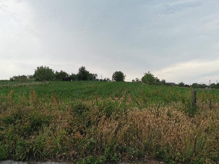 Teren de 2800 mp, în Șopârlița