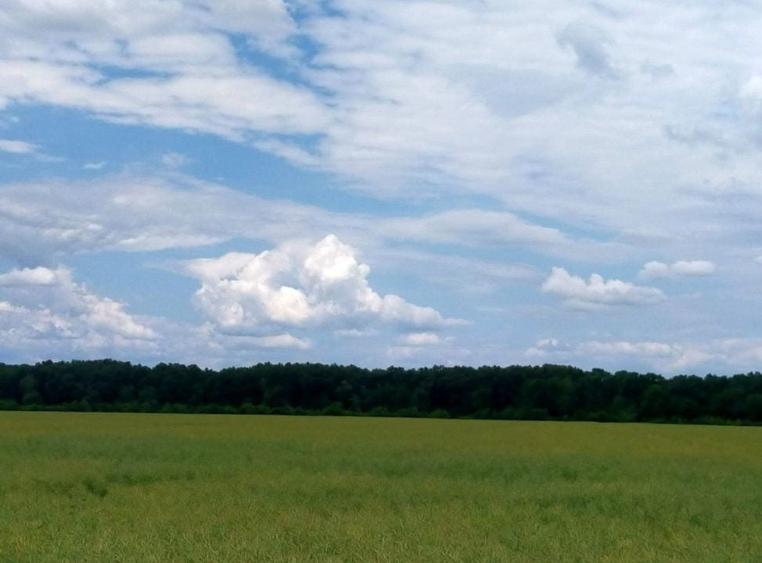 Teren agricol extravilan de 21000 mp, în Moara Vlăsiei