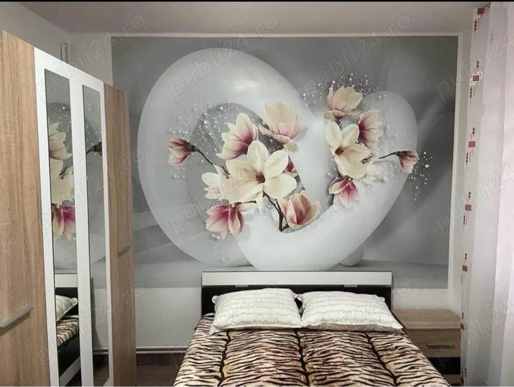Apartament cu 2 camere decomandat în Nord