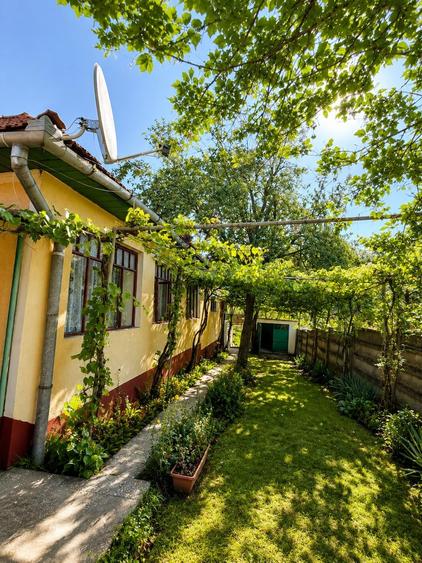 Casă individuală cu 3 camere cu Teren 2200 Mp în Pianu de Sus