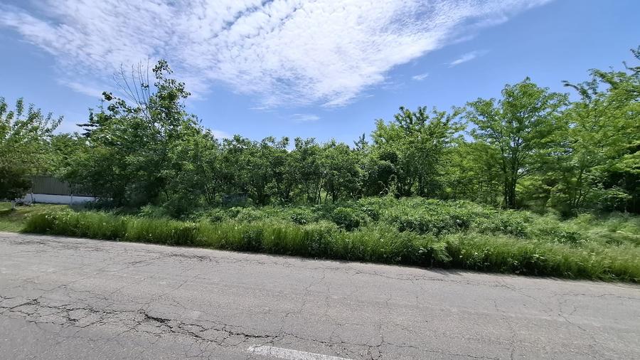 Teren Construcții intravilan de 2720 mp, în Buturugeni