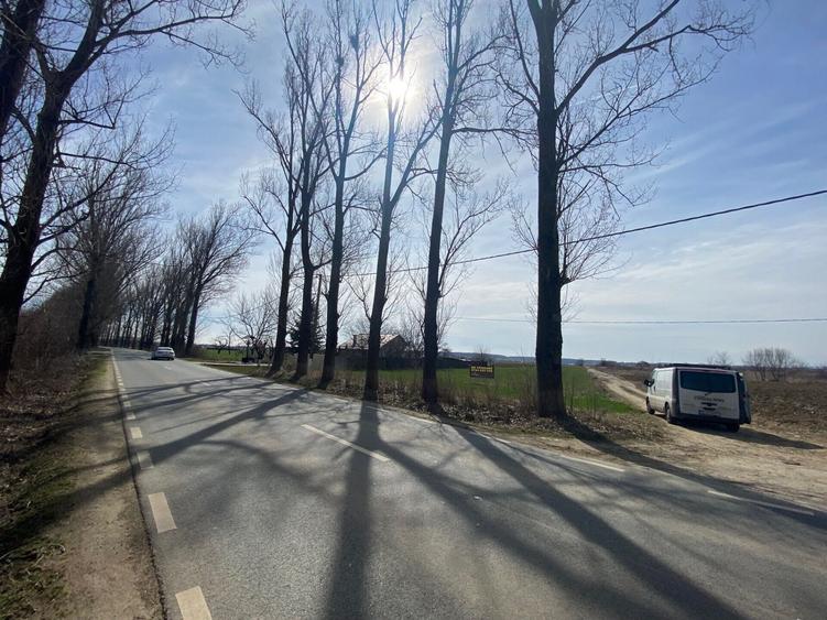 Teren Construcții intravilan de 5000 mp, în Snagov