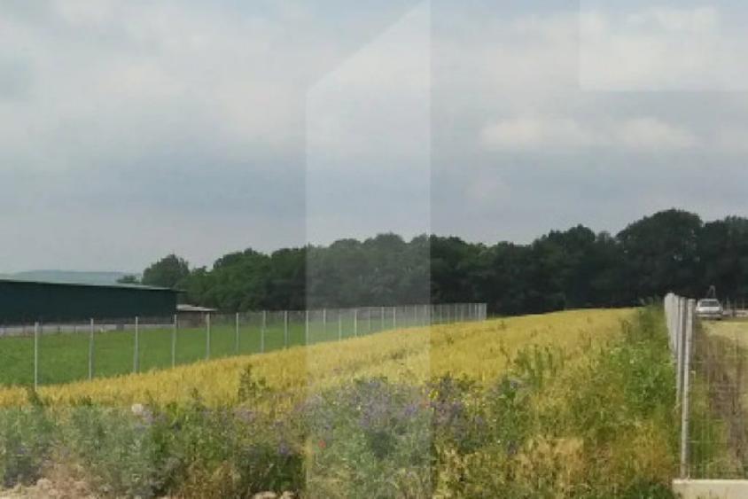 Teren intravilan 2.561 mp, zona Padurea Lebada, Boto?ani - 1