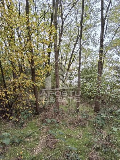 Teren de 3260 mp, în Cuied