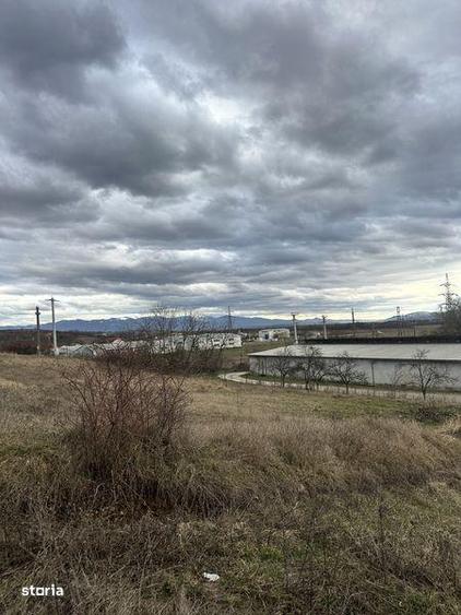 Teren de 500 mp, în Central