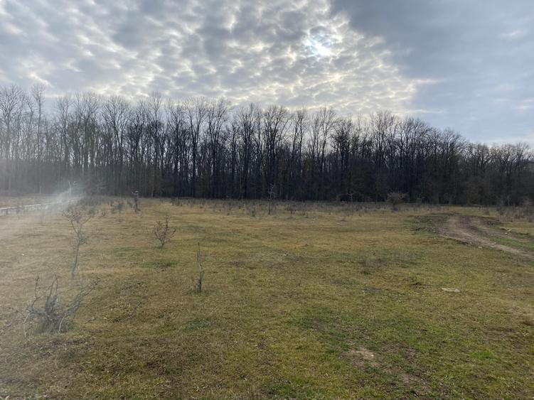 Teren agricol intravilan de 1900 mp, în Est
