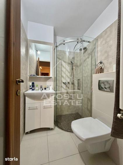 Apartament cu 4 camere, mobilat în Șagului