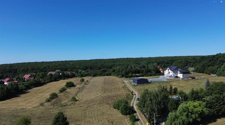 Teren Construcții intravilan de 6200 mp, în Mitocu Dragomirnei