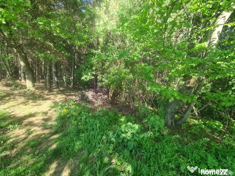 Teren de 2500 mp, în Voila