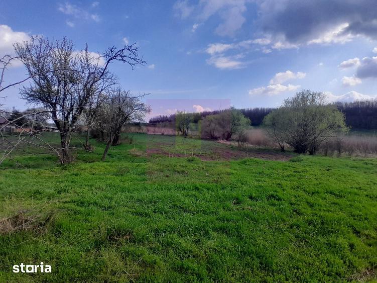 Teren de 3400 mp, în Buturugeni
