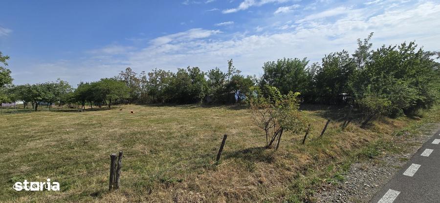 Teren de 4000 mp, în Mihai Eminescu