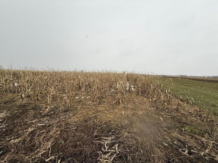 Teren agricol extravilan de 7276 mp, în Gălănești