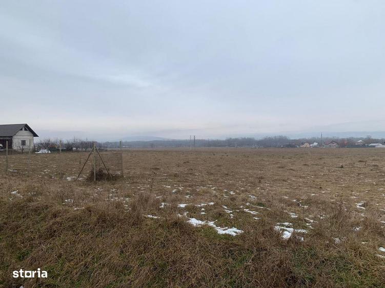 Cedare concesiune teren 2.000 mp | Todire?ti (Parhau?i) - 8
