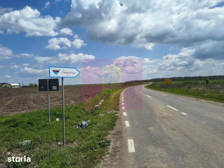 Teren de 3000 mp, în Cernica
