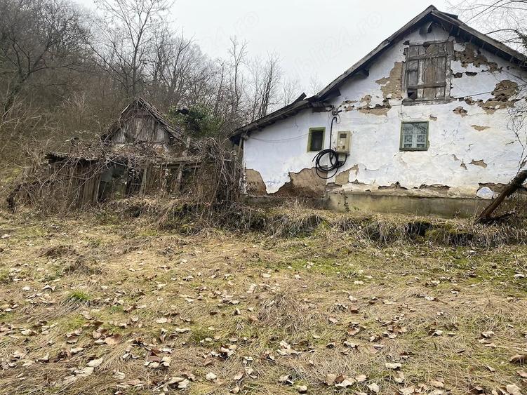 Teren de 245 mp, în Hălăliș