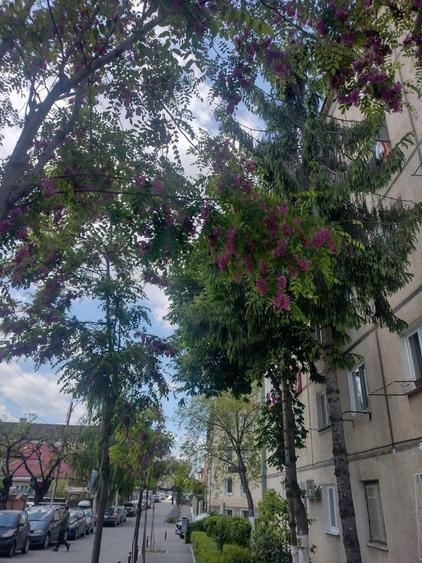 Garsonieră decomandată în Central