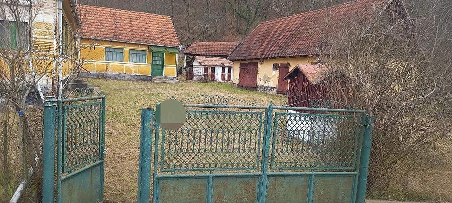 Casă cu Teren 6400 Mp în Petriș