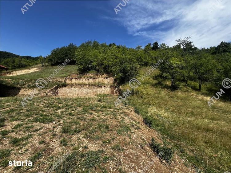 Teren intravilan de 1641 mp cu PUZ aprobat si utilitati in Cisnadioara - 2