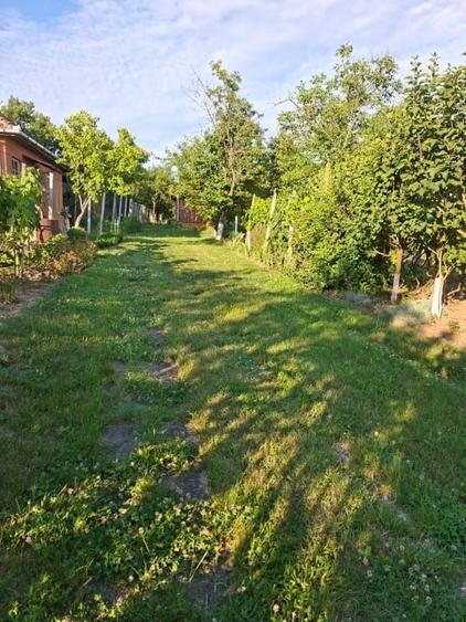 Teren intravilan de 1800 mp, în Viile Satu Mare