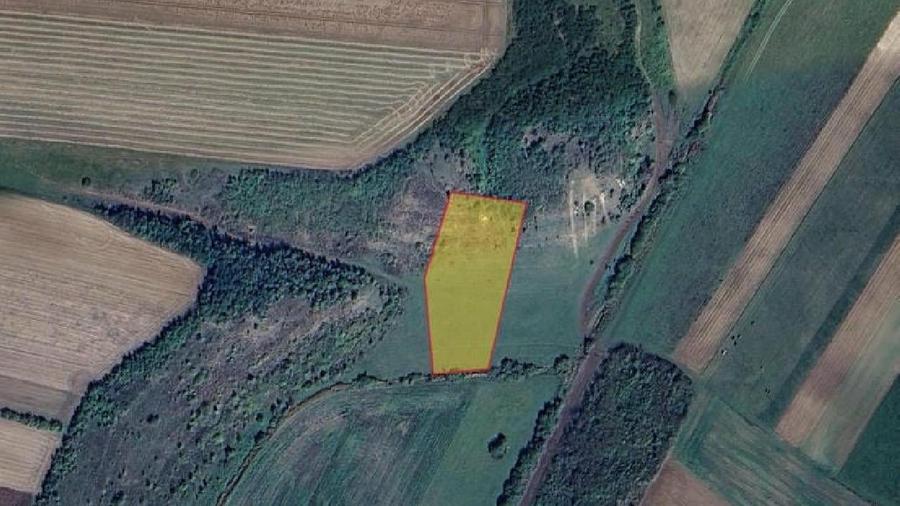 Teren extravilan de 5900 mp, în Hălchiu