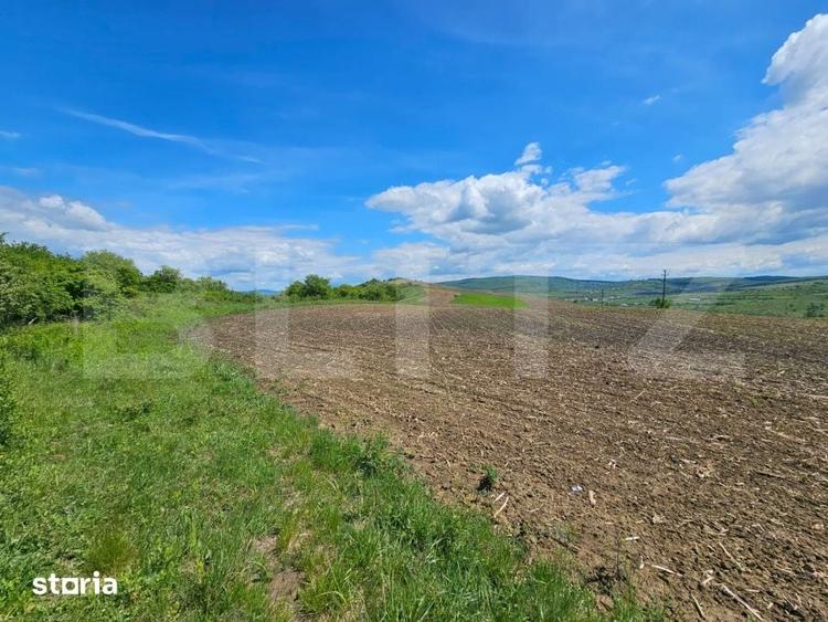 Teren de 5800 mp, în Șintereag