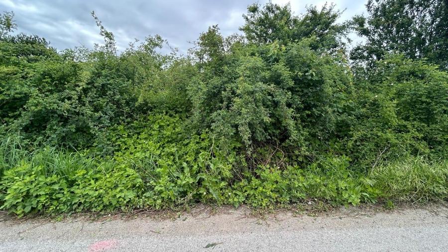 Teren Construcții intravilan de 1500 mp, în Băneasa
