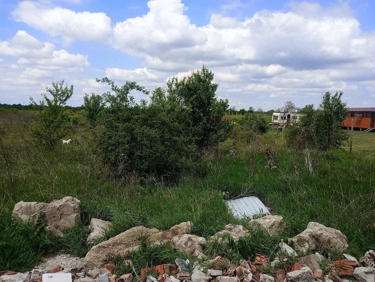 Intravilan 10 ari Strada Gorunului langa centura, Satu Mare - 2