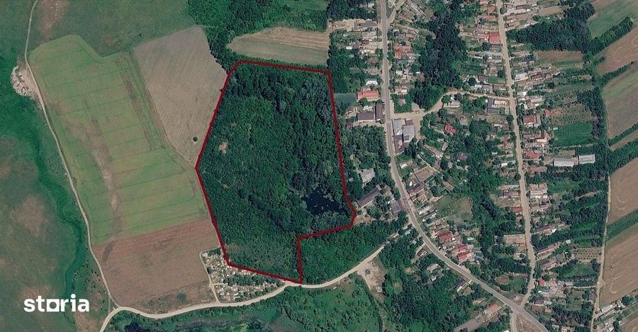 Teren de 63000 mp, în Vânătorii Mici