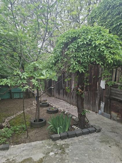 casa de vanzare - 2
