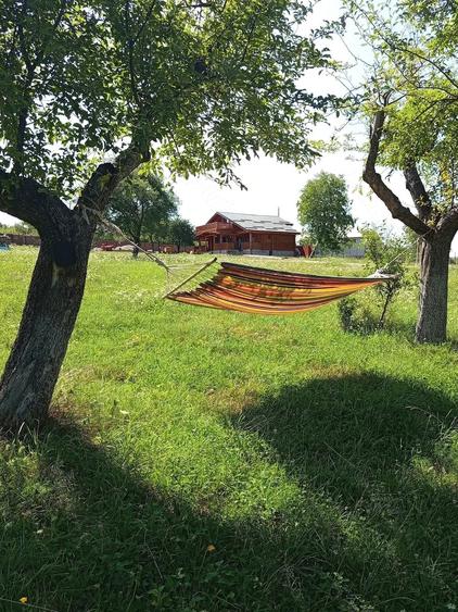 Casă cu 4 camere cu Teren 6240 Mp în Valea Mare