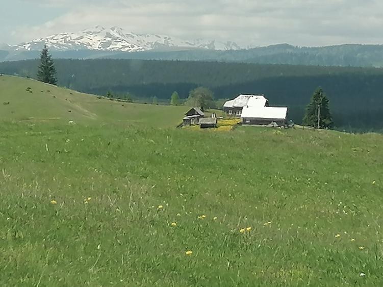 Teren de 45000 mp, în Ortoaia