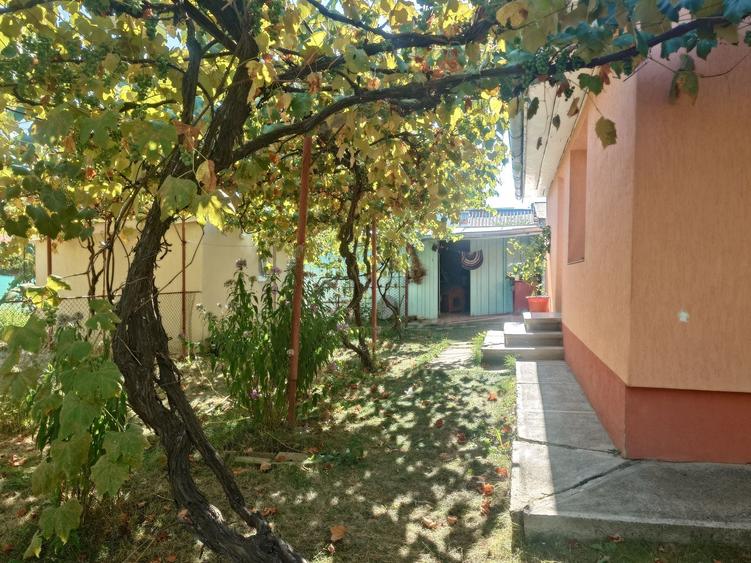 Casă cu 4 camere în Central
