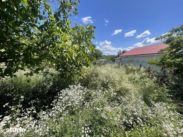 Teren de 1269 mp, în Săucești