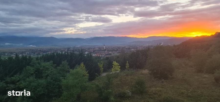 Garsonieră în Sud