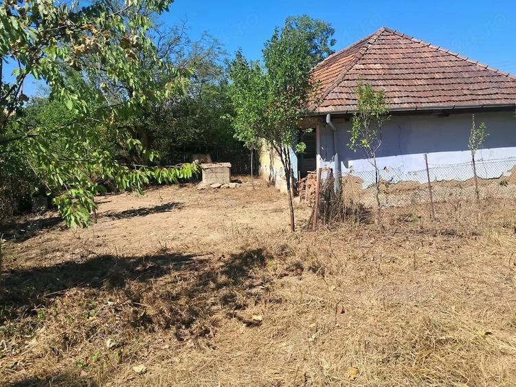Teren de 5000 mp, în Drăgoteni