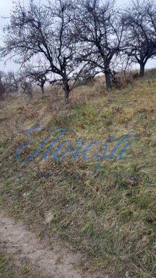 Teren Construcții intravilan de 3450 mp, în Borhanci