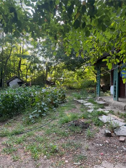 Teren de 1300 mp, în Bițina-Pământeni