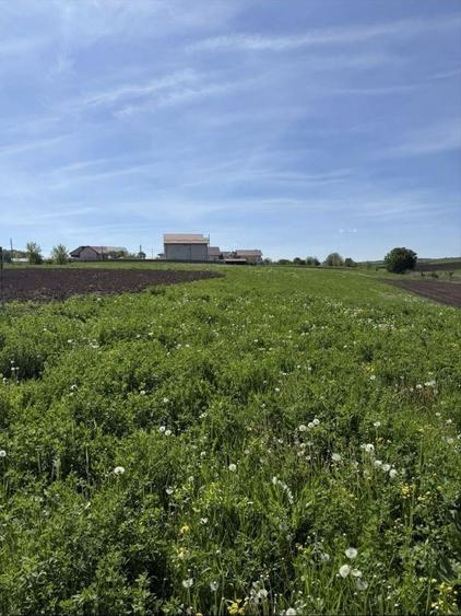 Teren agricol intravilan de 2200 mp, în Adâncata