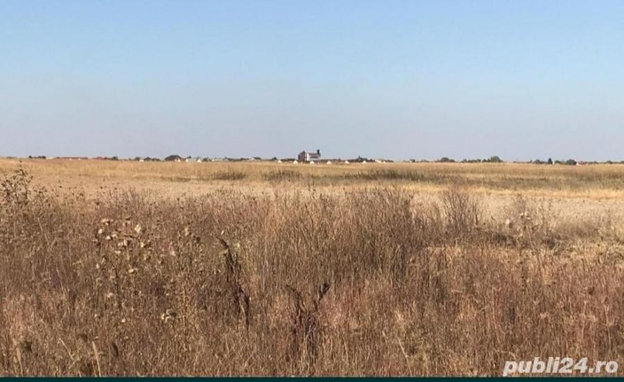 Teren de 7500 mp, în Buturugeni