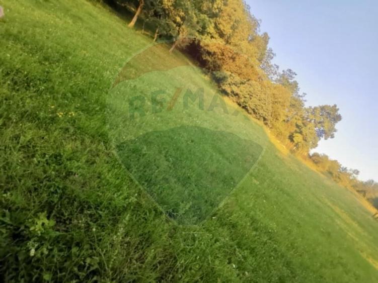 Teren agricol extravilan de 6900 mp, în Breb