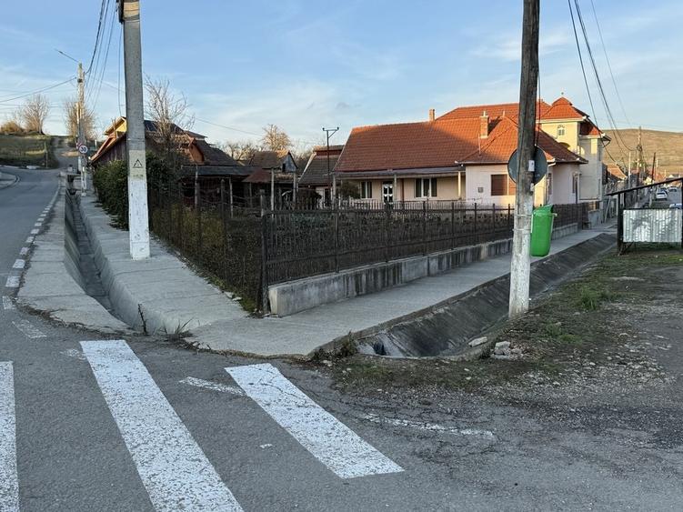 Casă cu 4 camere în Viișoara