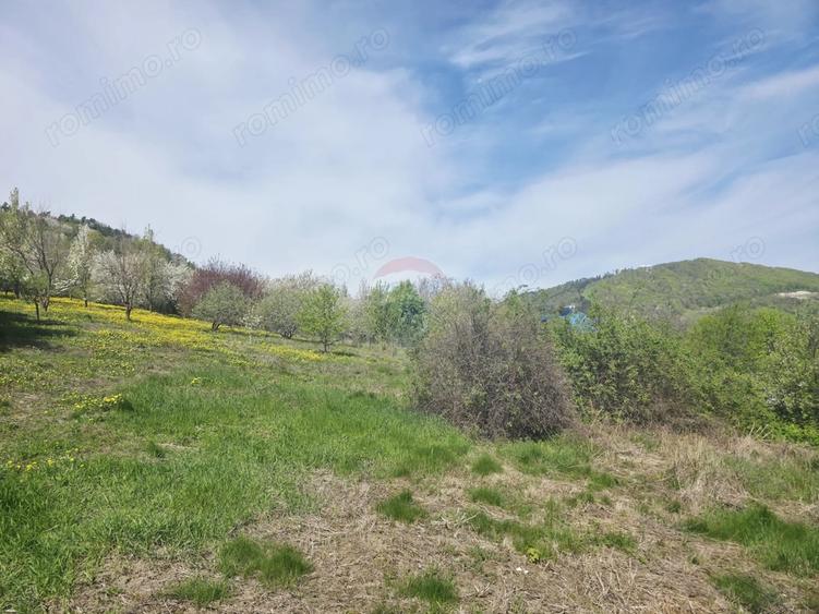 Teren de 1000 mp, în Calea Romanului