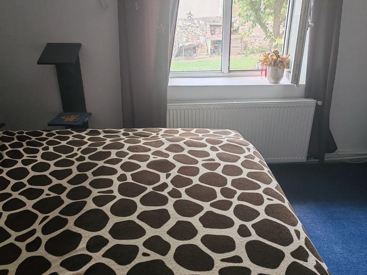 Casă cu 4 camere decomandat în Cogealac