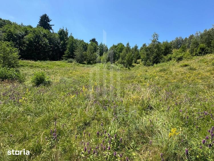 Teren de 4600 mp, în Central