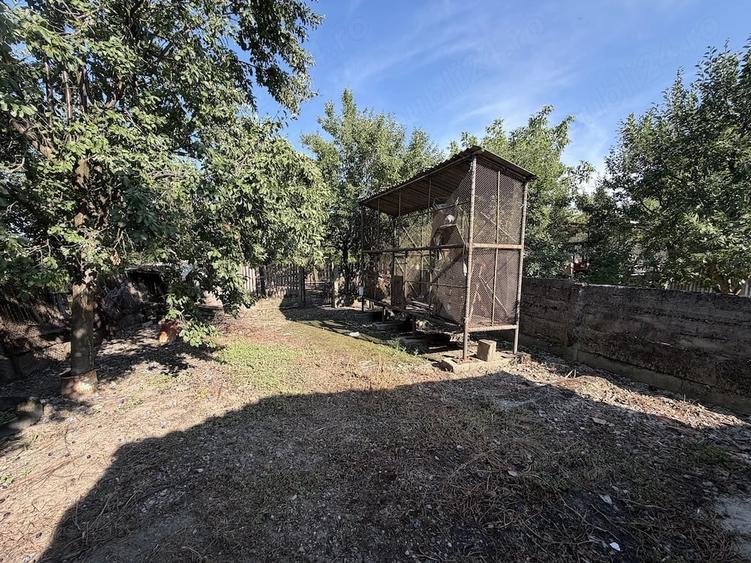 Casă cu 3 camere cu Teren 2200 Mp în Medieșu Aurit